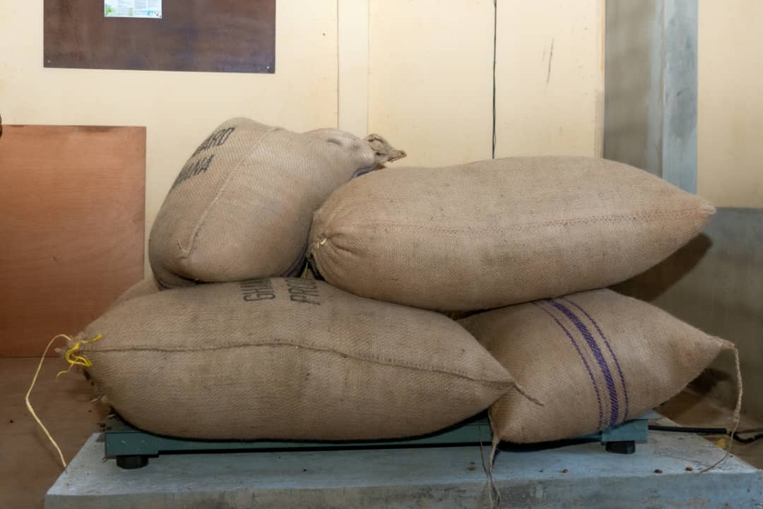 Valorisation de nos produits