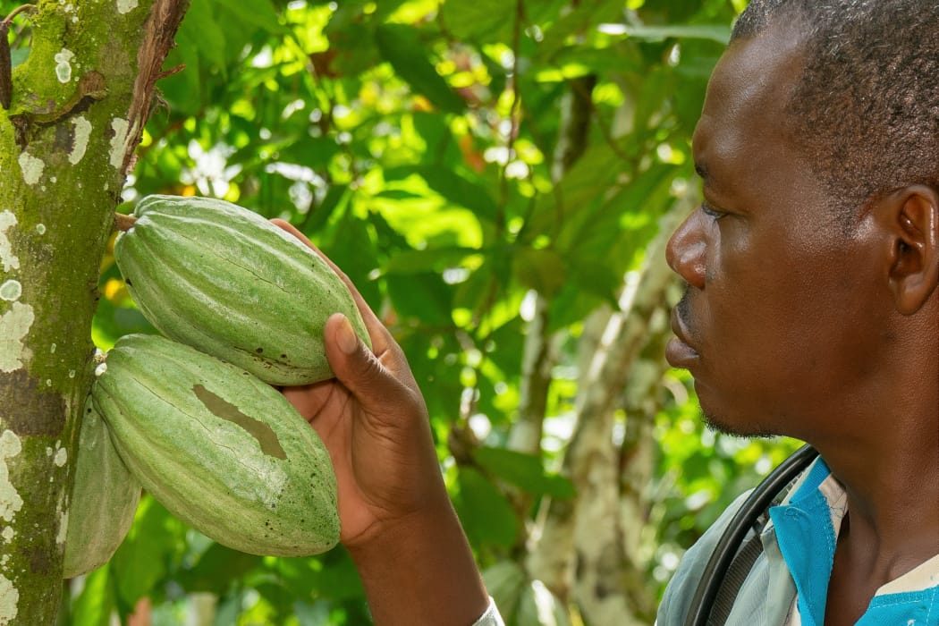 production agricole et d'élevage
