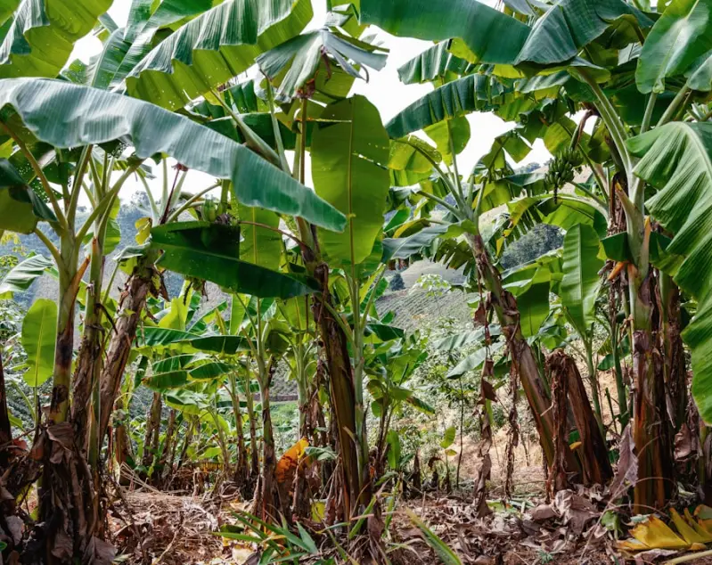 Valorisation de nos produits