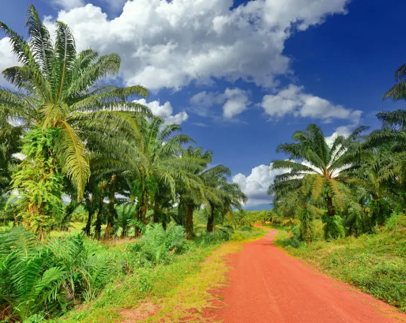 production agricole et d'élevage