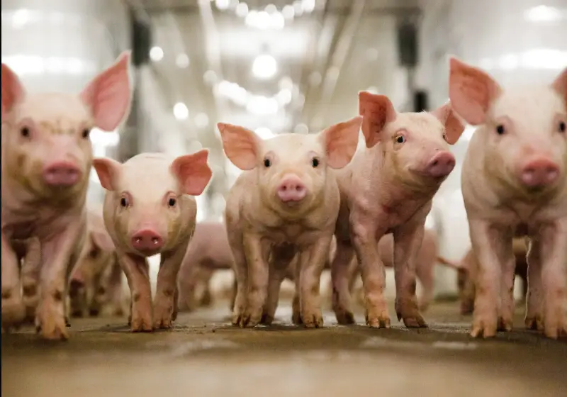 Valorisation de nos produits